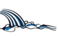 logo1